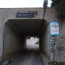 강동로-47 이미지