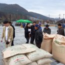 2019년산 공공비축미 추곡수매 현징 이미지