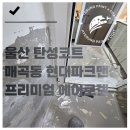 (주)혜성환경 - 1496 | 울산 탄성코트 : 북구 현대파크 프리미엄 에에로겔 코트 시공