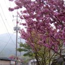 한우참숯생고기 이미지