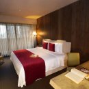 하이츄컴퍼니 | 대만 여행 코스 캡틴따거 추천 | 타이베이 호텔 숙소 맛집 대만 근교 스펀 핑시 기차 여행 후기