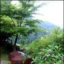 황토마루 이미지