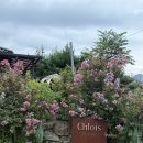 루나벨 풀빌라펜션 C동 | [가평] 끌로이스 풀빌라 독채펜션 | c동 1박 숙박 후기