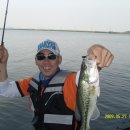 장안대교(밑) 이미지