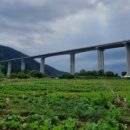 아양농장 이미지