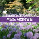 석모도 자연휴양림에서 해변 산책 캠핑 및 맛집 주차장 소개