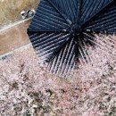 큰손공인중개사사무소 이미지