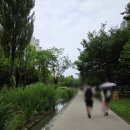 연남동 브런치 맛집 로앤쿡드 더브런치｜푸짐한 2인 세트 후기