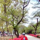 쌍수농장 이미지