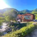 매화골향기 이미지