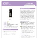 살롱드블랙