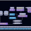대흥법무사오태훈사무소