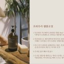 운선생