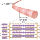 주파수 병신년들 와 장애인들 가오충들 확대들 호르몬새끼들 이미지