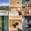 웰니스클럽사우나 이미지