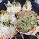 울진 대게 맛집 해무리회대게 내돈내산 후기