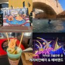 캐리비안 | 겨울 캐리비안베이 이용후기 2Park 에버랜드 무료 입장