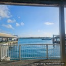 스노클링 | 이시가키여행기록_스노클링후기_캔슬 후 겨우 사쿠라비치에서 체험_어드벤쳐피피