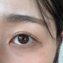 아르올뷰티 | [다산/도농역 속눈썹펌 잘하는 곳] 디아르뷰티에서 둥근 C컬 후기