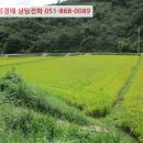 정촌면-6 이미지