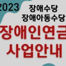 장애수당-장애로 인하여 생활이 어려운 18세 이상의 경증장애인(종전3~6급)의 생활안정 지원 이미지