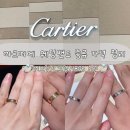 1895 | 까르띠에 웨딩밴드 투어 후기｜러브링·C드링·1895 종류 추천 가격 정리