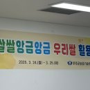 (5/25)화과자 만들기 이미지