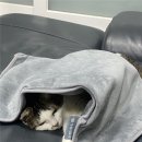 정원의료기 이미지