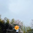 세븐일레븐 수원칠보점 | 순천 파인힐스 1박2일 골프 치고 호텔 숙박 후기