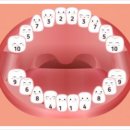 연세치과의원 이미지