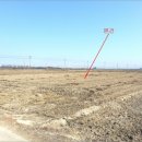 당진시 송악읍 복운리 2-10 이미지