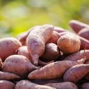 하나로마트(삼기) 이미지