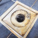 수지에듀파크@ 이미지