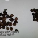 커피지아 이미지