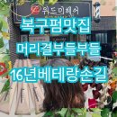 조은세상의원 | 동성로염색잘하는집 프리미엄염색 유럽수입 대구천연염색머리 고급염색전문미용실 대구머리잘하는미용실