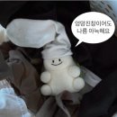 12월 월간일기, 24년도 안녕