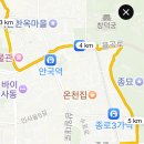멍멍이달린다