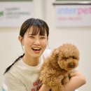 해피그루밍 이미지