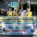 이웃사랑팜 더코리아