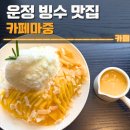 운정 빙수 맛집 카페마중 후기 | 망고빙수, 주차, 가격