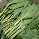 김성일농장 이미지