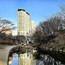 그림자의 소유권/ 빛주름 / 소행성 J-7 이미지