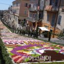 꽃길따라 이미지