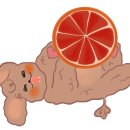 로다닭 통진점 네이버블로그