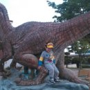 사림동117 이미지