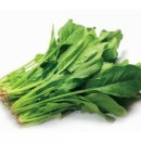 오늘의반찬 이미지