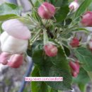 진성농장 이미지