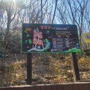 팔영산 자연휴양림 야영장 이미지