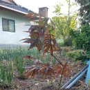 성웅농장 이미지