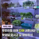 다채 | 여의도 대방 모임장소 야채 무한리필 쌈밥 맛집 내돈내산 다채 후기